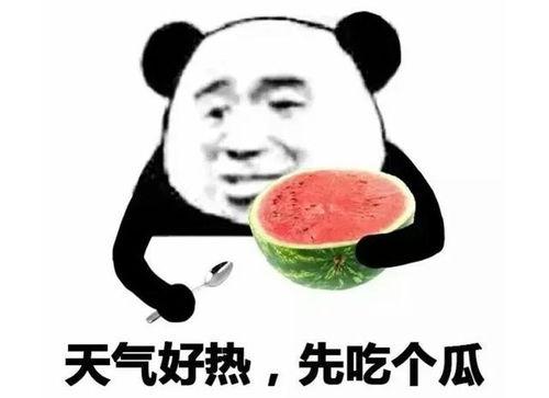 娱乐吃瓜表情包,笑料横生！
